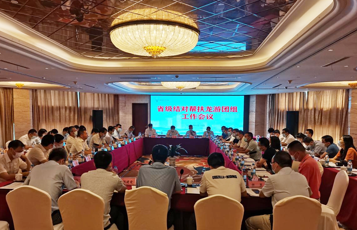 省级结对帮扶龙游团组工作会议召开 省二轻集团驻村工作组参会